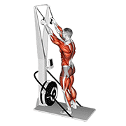 Ski Erg