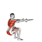 Rowing Squat élastique