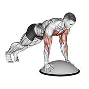 Pompes sur Bosu