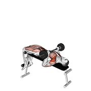 Sit-up développé barre