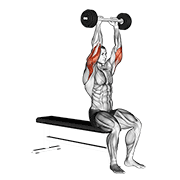 Extension triceps barre