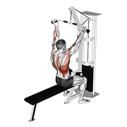 Tirage vertical supination