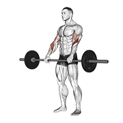 Curl inversé barre