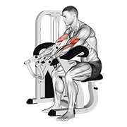 Curl pupitre machine