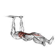 Sit-up avec élastique