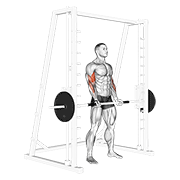 Curl biceps Smith machine
