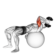 Extension triceps sur ballon à une main