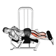 Leg curl couché machine