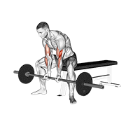 Curl barre assis serré