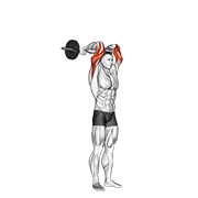 Extension triceps EZ debout
