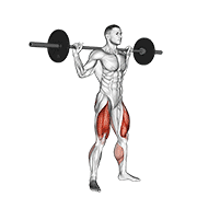 Squat sauté barre