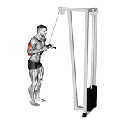 Extension triceps poulie