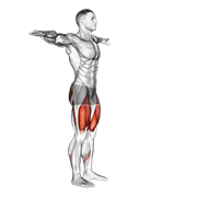 Squat profond
