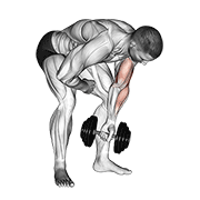 Curl biceps concentration debout