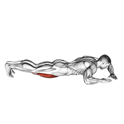 Étirement quadriceps couché