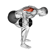 Kickback triceps haltère un bras