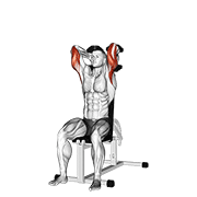 Extension triceps haltères assis