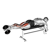 Leg Curl haltère couché