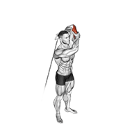 Extension triceps poulie vers le haut