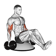 Curl haltères sur bosu