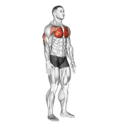 Pression isométrique pectoraux