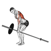 Rowing barre un bras