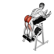 Hyperextension inversée machine