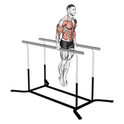 Extension triceps astreet workout