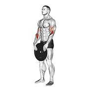 Curl biceps lesté
