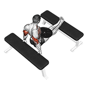 Dips sur banc lestés