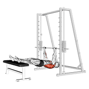 Rowing inversé Smith machine avec banc