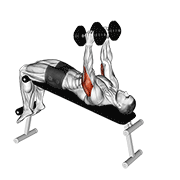 Extension triceps déclinée haltère