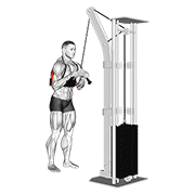 Extension triceps V-bar
