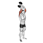 Extension triceps debout haltère