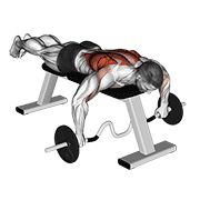 Seal Row barre EZ