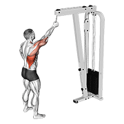 Tirage vertical un bras