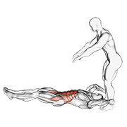 Relevé de jambes poussée
