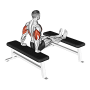 Dips sur 2 bancs