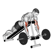 Curl araignée barre EZ