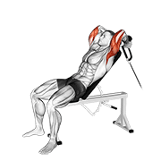 Extension triceps incliné poulie