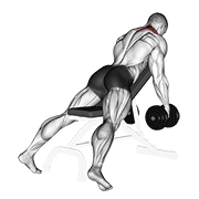 Shrug décliné haltères