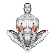 Posture du Papillon