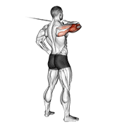 Kickback triceps poulie