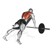 Rowing incliné barre