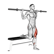Split Squat Barre avec banc