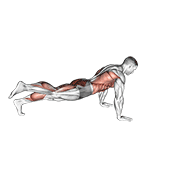 Planche dynamique