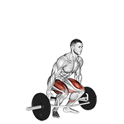 Deadlift barre hexagonale