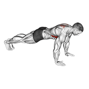 Pompe scapulaire