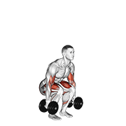 Squat Curl haltères