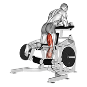 Leg Curl à genoux